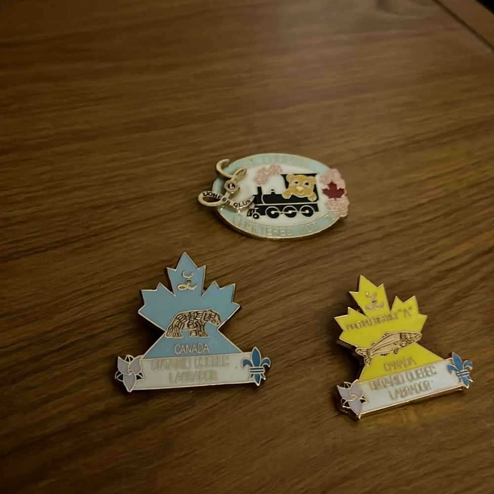 😄Lioness club brooches pins bundle
